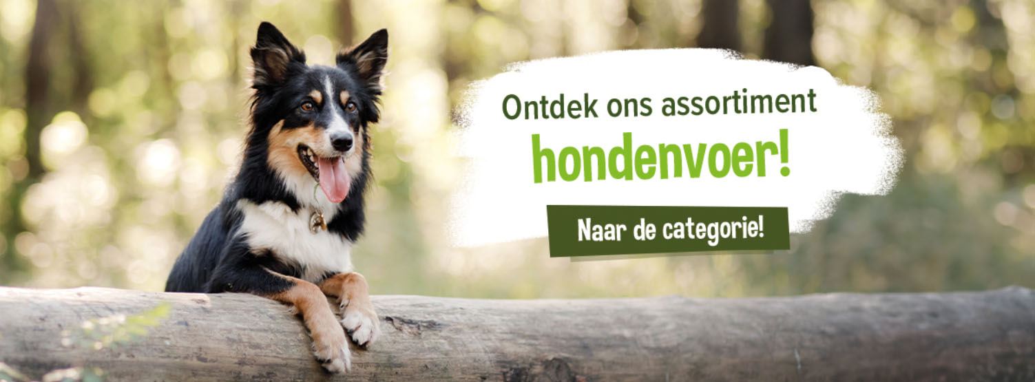 Hondenbenodigdheden Winkel -Hondenbenodigdheden Winkel FDHDH