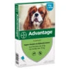 Advantage Advantage Hond 100 - 4-10 Kilo 4 Pip