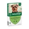 Advantage Advantage Hond 40 - Tot 4 Kilo 4 Pip