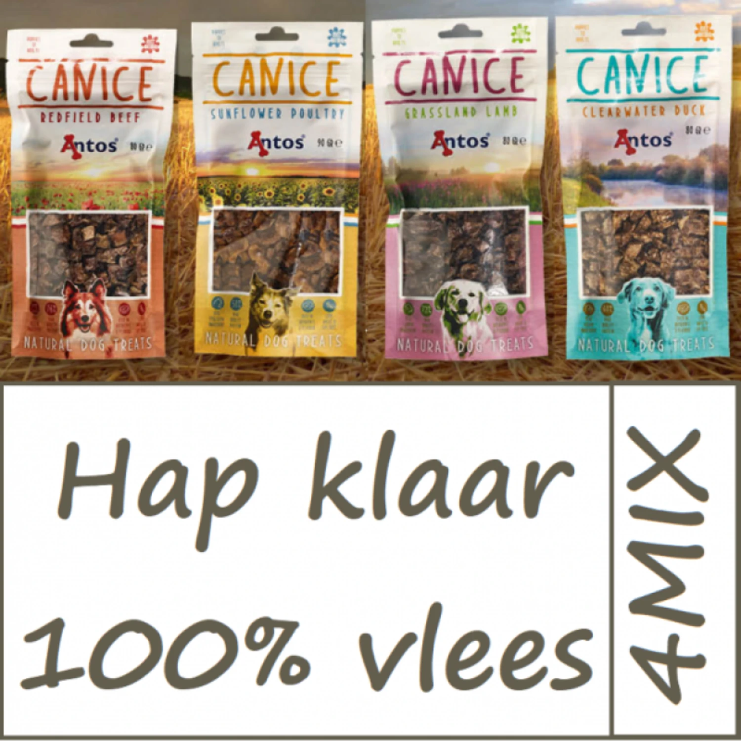Antos Antos Canice - 80 gram - 4 MIX Antos Antos Canice - 80 Gram - 4 MIX -Hondenbenodigdheden Winkel antos antos canice 80 gram 4