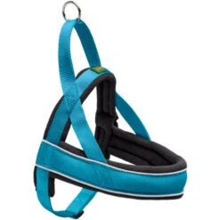 Hunter Hunter Harness Norweger Racing - Petrol-Zwart 2 Hunter Hunter Harness Norweger Racing - Petrol-Zwart -Hondenbenodigdheden Winkel hunter hunter harness norweger racing petrol zwart 2