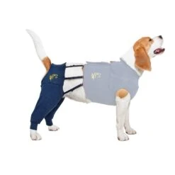 MPS Medical Pet Shirt HLS Hind L - 1 Stuk -Hondenbenodigdheden Winkel mps medical pet shirt hls hind l 1 stuk 4