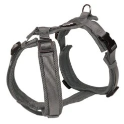 Petlando Petlando Mesh Y-Comfort Harness - Antraciet 4 Petlando Petlando Mesh Y-Comfort Harness - Antraciet -Hondenbenodigdheden Winkel petlando petlando mesh y comfort harness antraciet 4