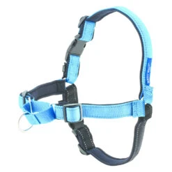 PetSafe Easy Walk Deluxe Harness - Ocean Blue