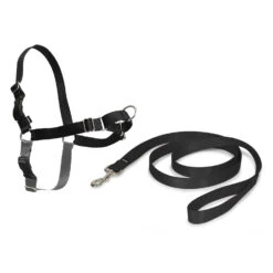 PetSafe Easy Walk Harness