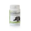 PhytoTreat PhytoTreat Glucosamine-Extra Hond Valuepack - 90 Tabletten
