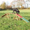 Trixie Trixie Agility Brug - 456x64x30 Cm - Tot 80 Kilo