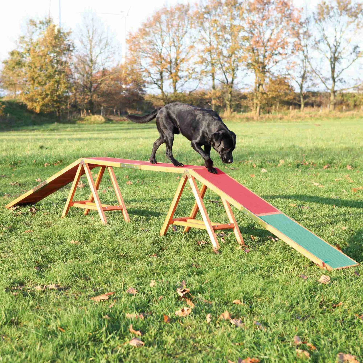 Trixie Trixie Agility Brug - 456x64x30 cm - tot 80 kilo Trixie Trixie Agility Brug - 456x64x30 Cm - Tot 80 Kilo -Hondenbenodigdheden Winkel trixie trixie agility brug 456x64x30 cm tot 80 kil