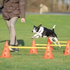 Trixie Trixie Agility Hordenset 4 Trixie Trixie Agility Hordenset -Hondenbenodigdheden Winkel trixie trixie agility hordenset 4